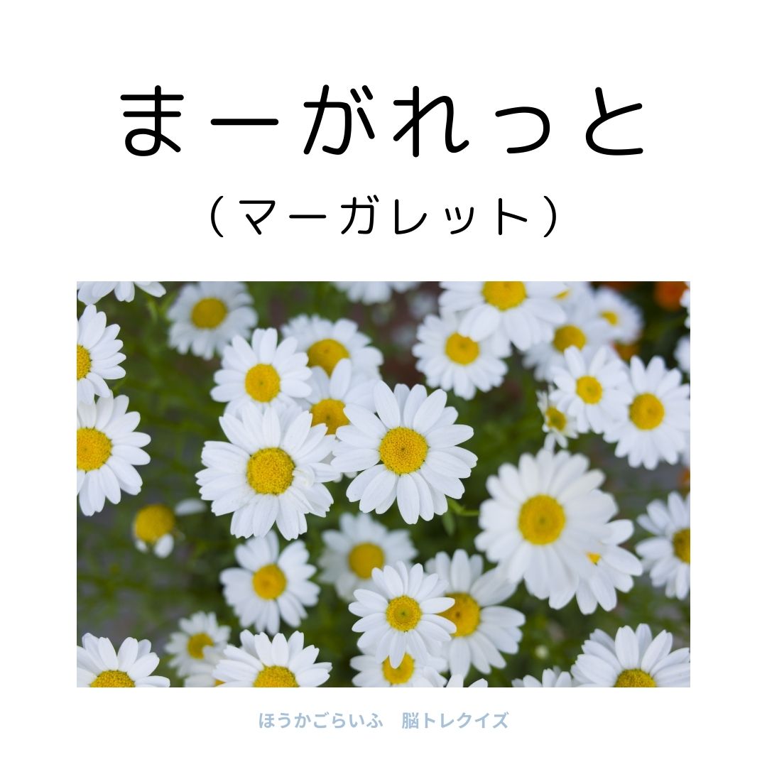 高齢者向け（無料）言葉の並び替えで脳トレしよう！文字（ひらがな）を並び替える簡単なゲーム【花の名前】健康寿命を延ばす鍵